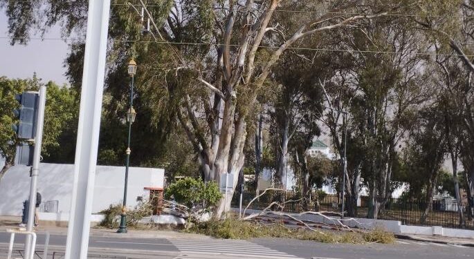 المغرب .. رياح قوية تتسبب بحالة من الهلع