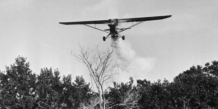 6 مرات عبث فيها الإنسان بالطبيعة فكانت النتائج عكسية