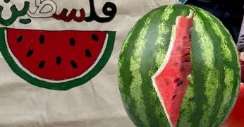 البطيــخ أصبح رمزاً للنضال الفلسطيني