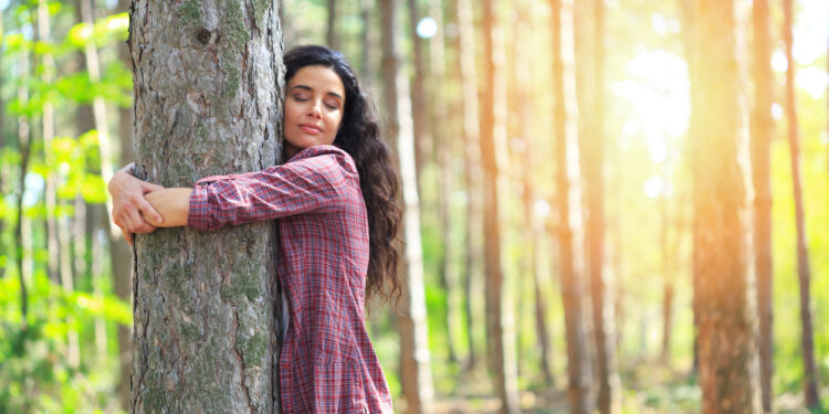 الأشجــار مفيدة للروح ولكن قوتها العلاجية مفيدة للجسد أيضاً