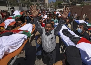 غزة .. ارتفاع عدد الضحايا إلى 8005 شخص بينهم 3342 طفل