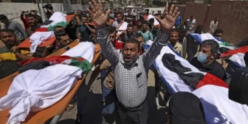 غزة .. ارتفاع عدد الضحايا إلى 8005 شخص بينهم 3342 طفل