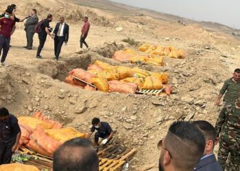 الاعلان عن اتلاف 14 طناً من المخدرات