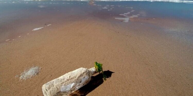 امريكا .. زجاجات السحرة الاثرية تملأ الشواطئ