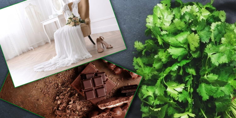 قائمة بأغرب المنتجات التي “تمنع إسرائيل ادخالها إلى غزة” منذ سنوات