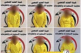 الانبار .. استخبارات الحشد تطيح بشبكة ترويج وتعاطي للمواد المخدرة