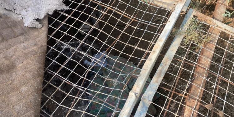 الحشد الشعبي يعثر على مضافات لداعش في في الطارمية