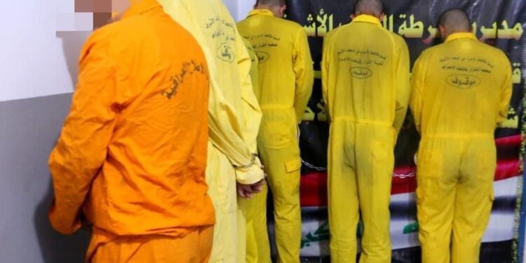 النجف .. القبض على عصابة متخصصة بسرقة الدور والمركبات