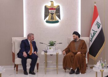 الحكيم يلتقي سفير الاتحاد الاوروبي