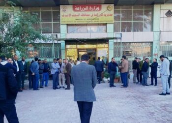 النجف .. إضراب في دائرة حكومية