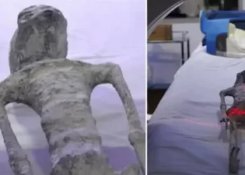 كائنات المكسيك الغريبة تثير الجدل .. عمرها 1000 عام لها 3 أصابع وبدون أسنان