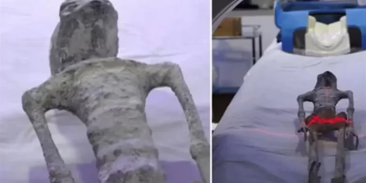 كائنات المكسيك الغريبة تثير الجدل .. عمرها 1000 عام لها 3 أصابع وبدون أسنان