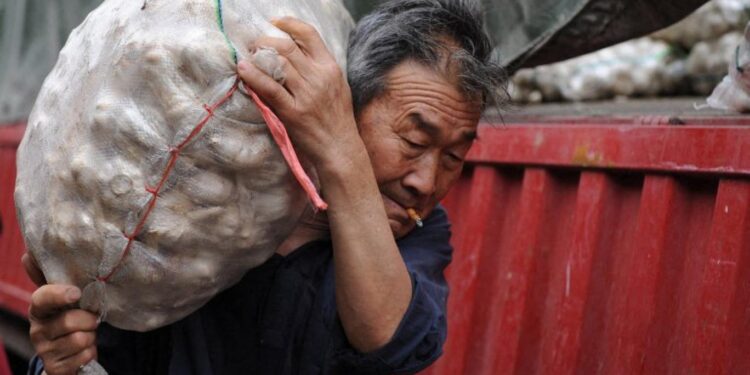 سيناتور أميركي يخاف من “الثوم الصيني” على الأمن القومي