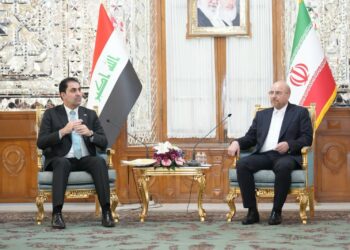 المندلاوي ياتقي رئيس مجلس الشورى الإيراني