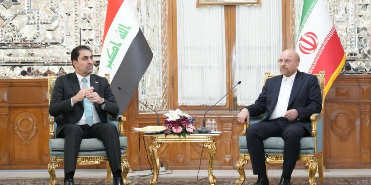 المندلاوي ياتقي رئيس مجلس الشورى الإيراني