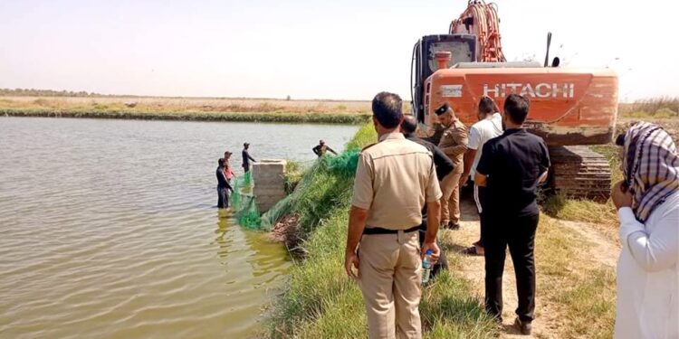 كركوك .. ازالة وردم أكثر من 600 حوض للأسماك