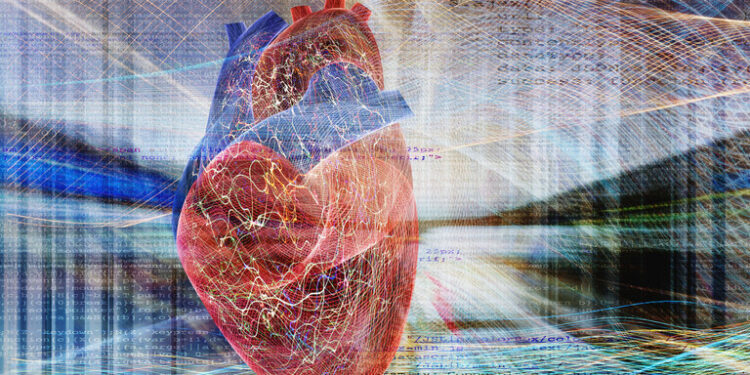 تطوير قلب حيويا بمضخة روبوتية من السيليكون