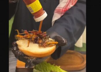 برغر الجراد يثير الجدل في السعودية