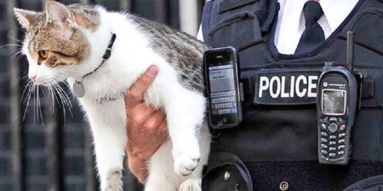 روسيا .. مطالب من الاف المواطنين بإقالة مديرة محطة قطار “بسبب قط”