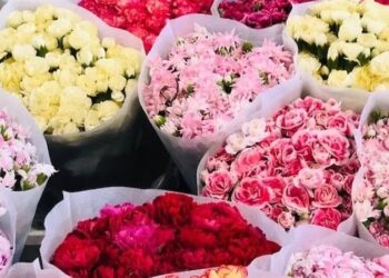 أزمة زهور خلال “الفلانتين” في بريطانيا … بسبب “بريكست”