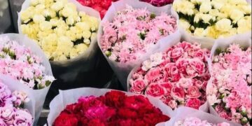 أزمة زهور خلال “الفلانتين” في بريطانيا … بسبب “بريكست”