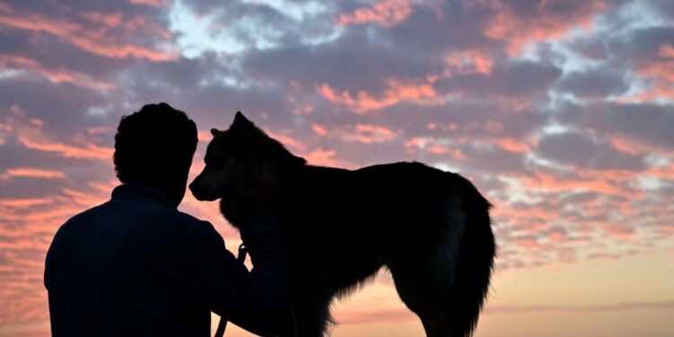 حين هزمت قوة البودي غارد إخلاص “كلب الحراسة”