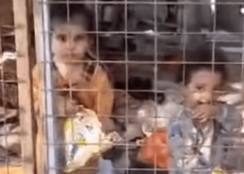 بغداد .. العثور على طفليـــن محبوسين داخل قفص تركتهم والدتهم منذ يومين