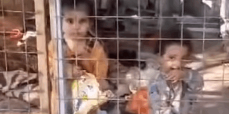 بغداد .. العثور على طفليـــن محبوسين داخل قفص تركتهم والدتهم منذ يومين