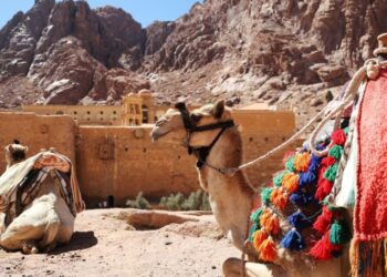 قبائــــل عــــرب سينـــاء