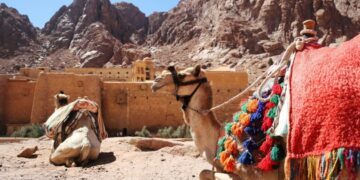 قبائــــل عــــرب سينـــاء