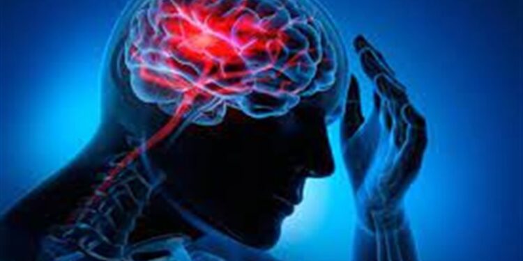 إنشاء أول أنسجة دماغية في العالم بــ”الطباعة ثلاثية الأبعاد” تحاكي الأنسجة الطبيعية