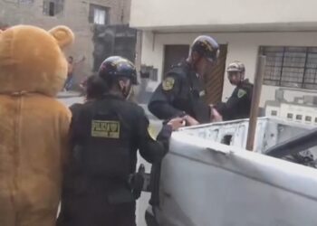 ضابط يتنكر في زي دب بعيد الحب ليقبض على تاجرة مخدرات