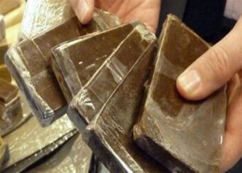 تضامنا مع غزة تجار المخدرات المغاربة يوقفــــون بيــــع الحشيش إلى إسرائيل