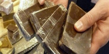 تضامنا مع غزة تجار المخدرات المغاربة يوقفــــون بيــــع الحشيش إلى إسرائيل