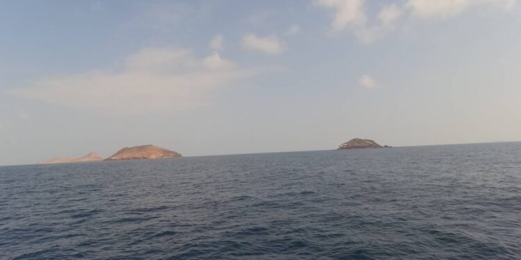 سفن إيرانية وصينية بحماية مسلحة تشق طريقها بحذر في باب المندب