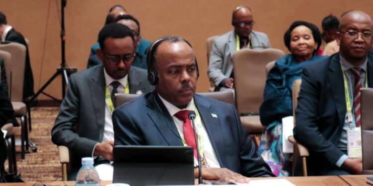 الصومال يدعو دول العالم إلى إدانة “الاعتداء الإثيوبي” غير المبرر على سيادته