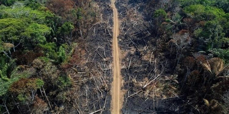 غابات الأمازون في خطـــر بسبب تغير المناخ