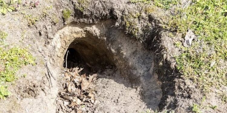 بريطانيا .. زوجان يكتشفان نفقا سريا من الحرب العالمية تحت البيت “بالصدفة”