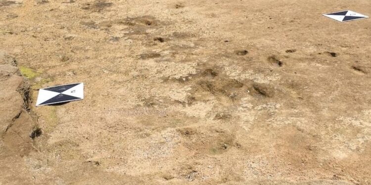 اكتشاف آثار أقدام بشرية تعود لأكثر من 100 ألف عام