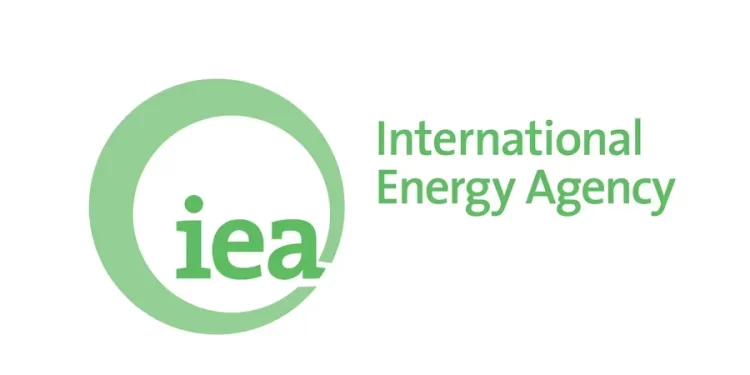 وكالة الطاقة .. هجمات البحر الأحمر تضر أسواق النفط في أوروبا