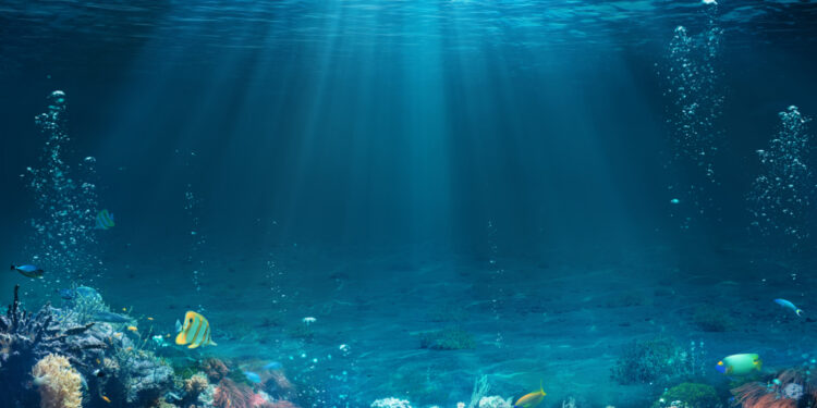 اكتشـــاف (بيض أسود غامض) في المحيط