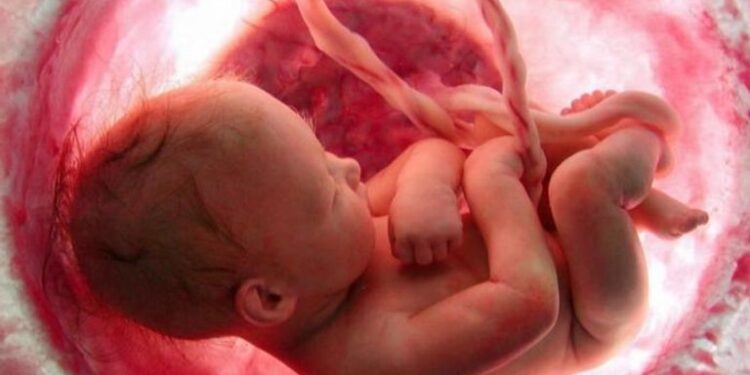 دلائل إعجاز القرآن في نشأة الخلق