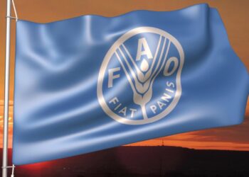 منظمة فــاو “تحذر” من ارتفاع أسعار الغذاء العالمية بسبب الحوثيين
