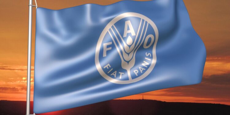 منظمة فــاو “تحذر” من ارتفاع أسعار الغذاء العالمية بسبب الحوثيين