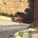 لبنان .. مسيّرة إسرائيلية تستهدف سيارة تقل مسؤلا بحزب الله