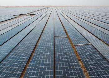 تحديّات تطبيق ممارسات الاستدامة في الشركات والمؤسسات العربية