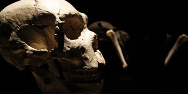 إفريقيا .. مخدرات من مسحوق عظام الموتى