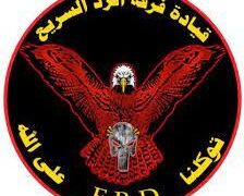 الناصرية .. فرقة الرد السريع تنفذ عملياتها الأمنية للحد من الخلافات العشائرية