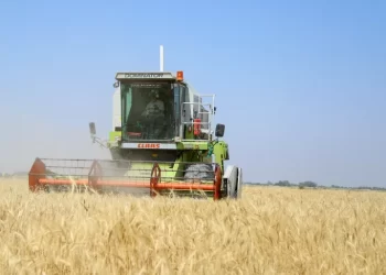 العراق يصل لحاجز 7 ملايين طن من إنتاج القمح خلال الموسم الحالي