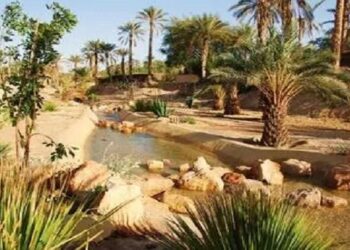 تنمية الجنوب التونسي في مرمى الانتقادات والشكوك بعد سنوات التهميش